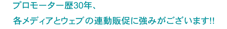 各メディアとウェブの連動販促に強みがございます